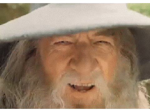 Gandalf meme FOREVER