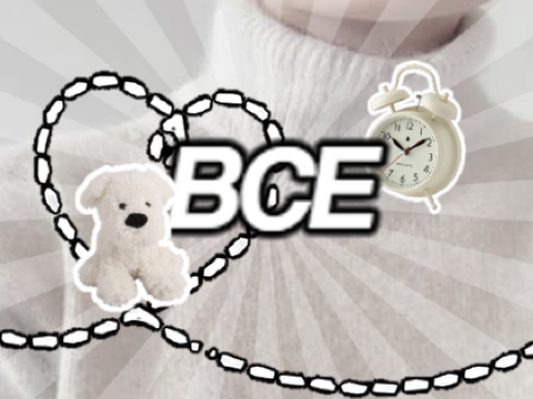 banner for Ari