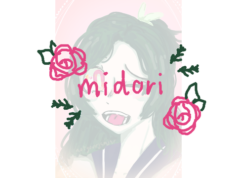 -dmce midori-