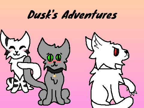 Duck's Adventures Cover