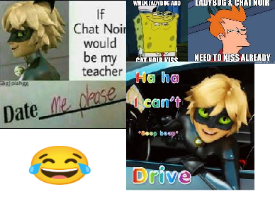 ladybug and cat noir meme's part 1