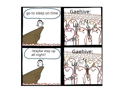 Just a random gaehive meme lol