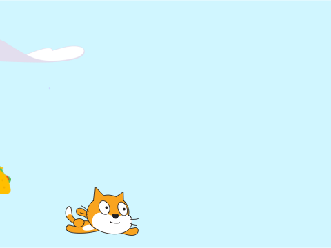 Cat wants tacos 