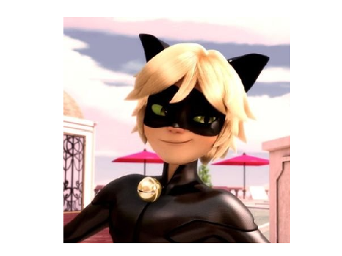 Cat Noir Pictures!