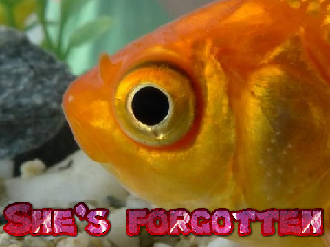 She's forgotten ~ a writing contest entry