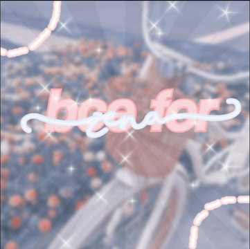 ↪ bce for zena!