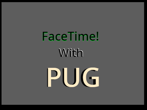 FaceTime With Pug!