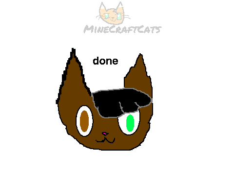 Cat speed paint