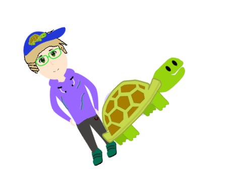 stupid turtle spinning