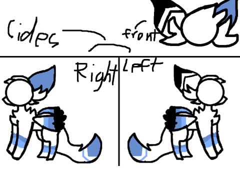 Cameos :D