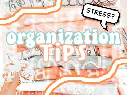 ⌕ organization tips ꒱