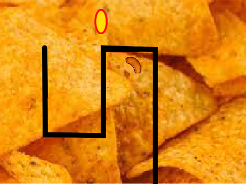 help the cheeto get to its family!