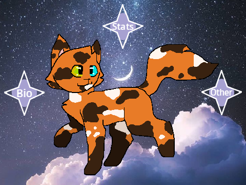 ‧͙⁺˚*･༓☾ Adderpaw ☾༓･*˚⁺‧͙