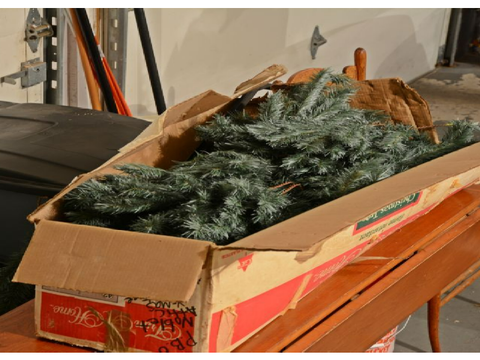 Decorating The Christmas Tree