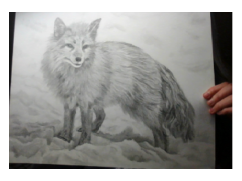 lil drawing