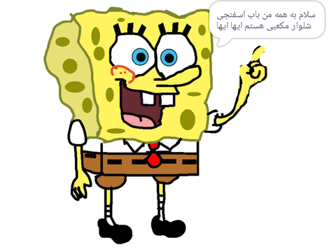 باب اسفنجی