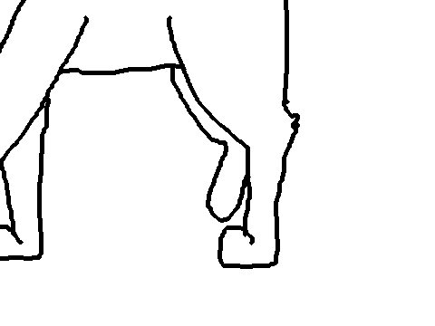 Animation Practice