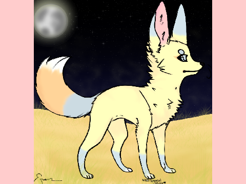 Anaki Fennec