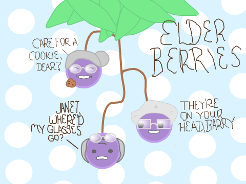 Food Puns! *Unfinished*