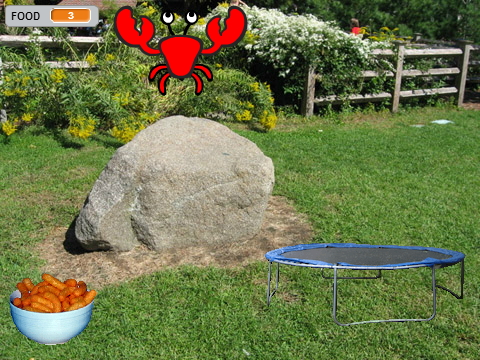 Virtual crab pet