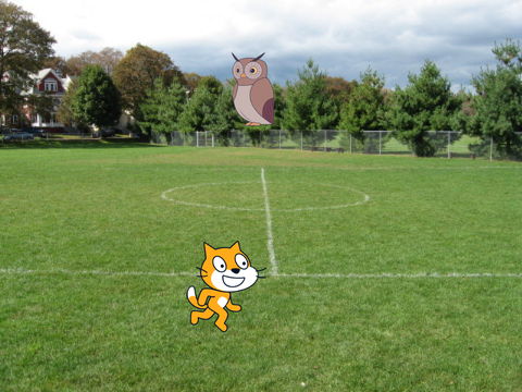 catch the owl remix