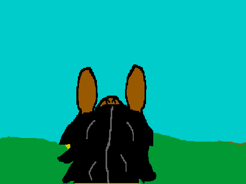 Horse riding