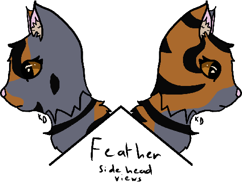 Feather remodeled