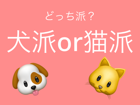 scratch大規模アンケート！拡散希望犬派？猫派？
