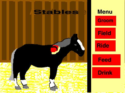 Horse centre 