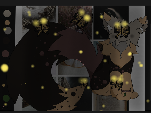DTE?   ButterflyMoth