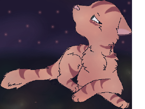 CC Entry