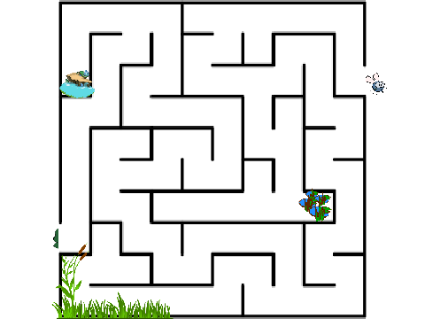 maze