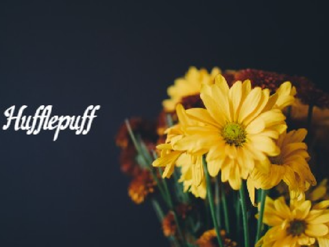  Hufflepuff ~ Chapter 2 ~ A Harry Potter Fanfic