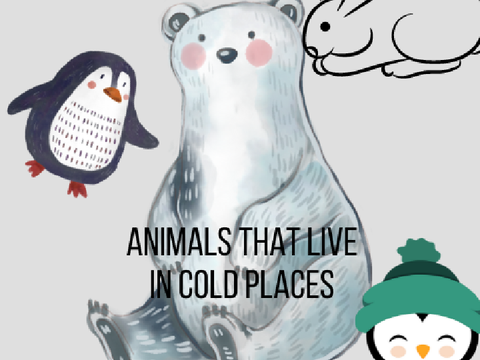 Animals that Live in cold places
