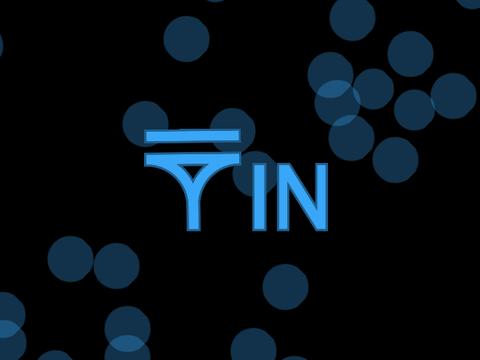 Intro for TIN || entry