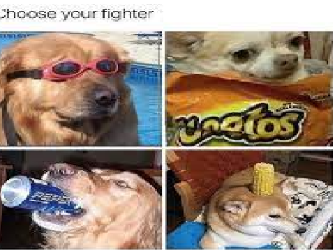 Dank memes pt1