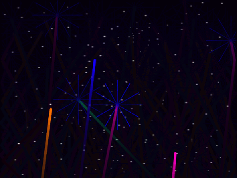 Fireworks Show!