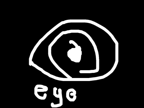 EYE