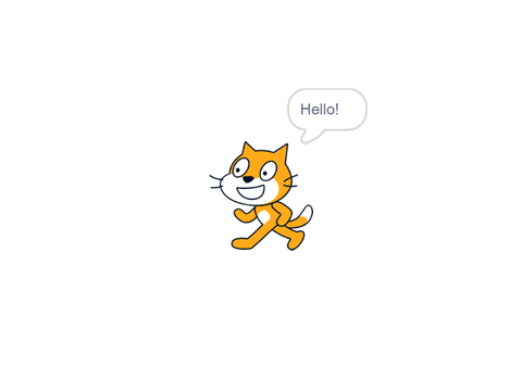 Crazy cat