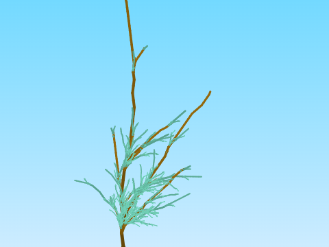 L-system Plants