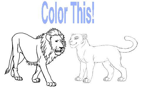 Lion coloring contest!!