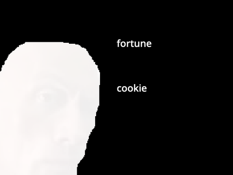 forrtune cookie
