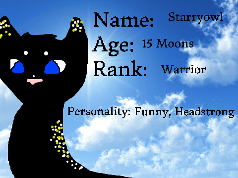 SunClan Starryowl