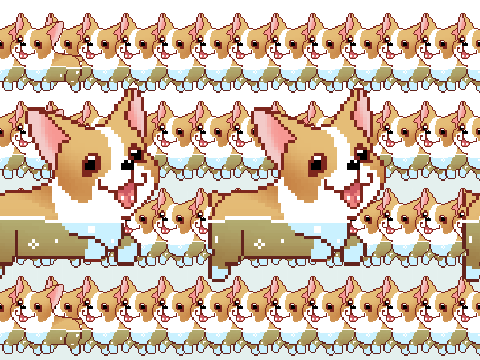 Corgi
