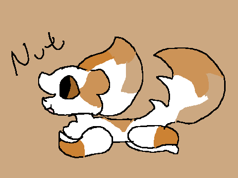 Dta Nut