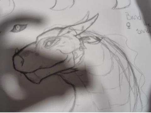 Sandwing Doodle