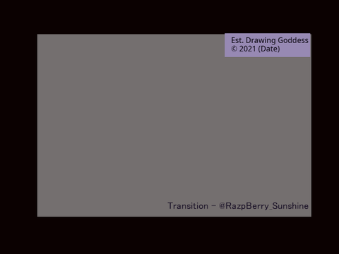 Transition Code 