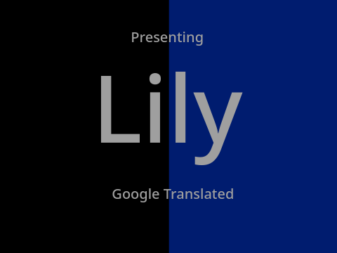 Lily Google Translated
