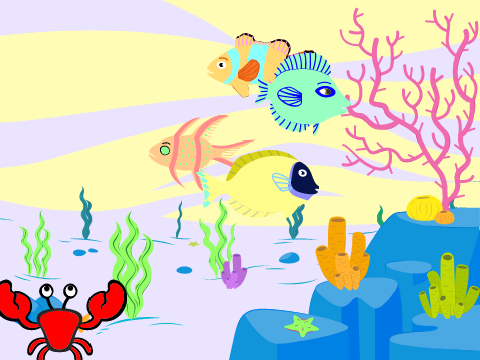 Ocean