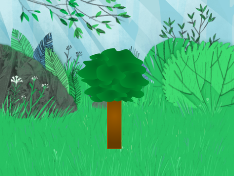 ANIMATION CUZ Y NOT?